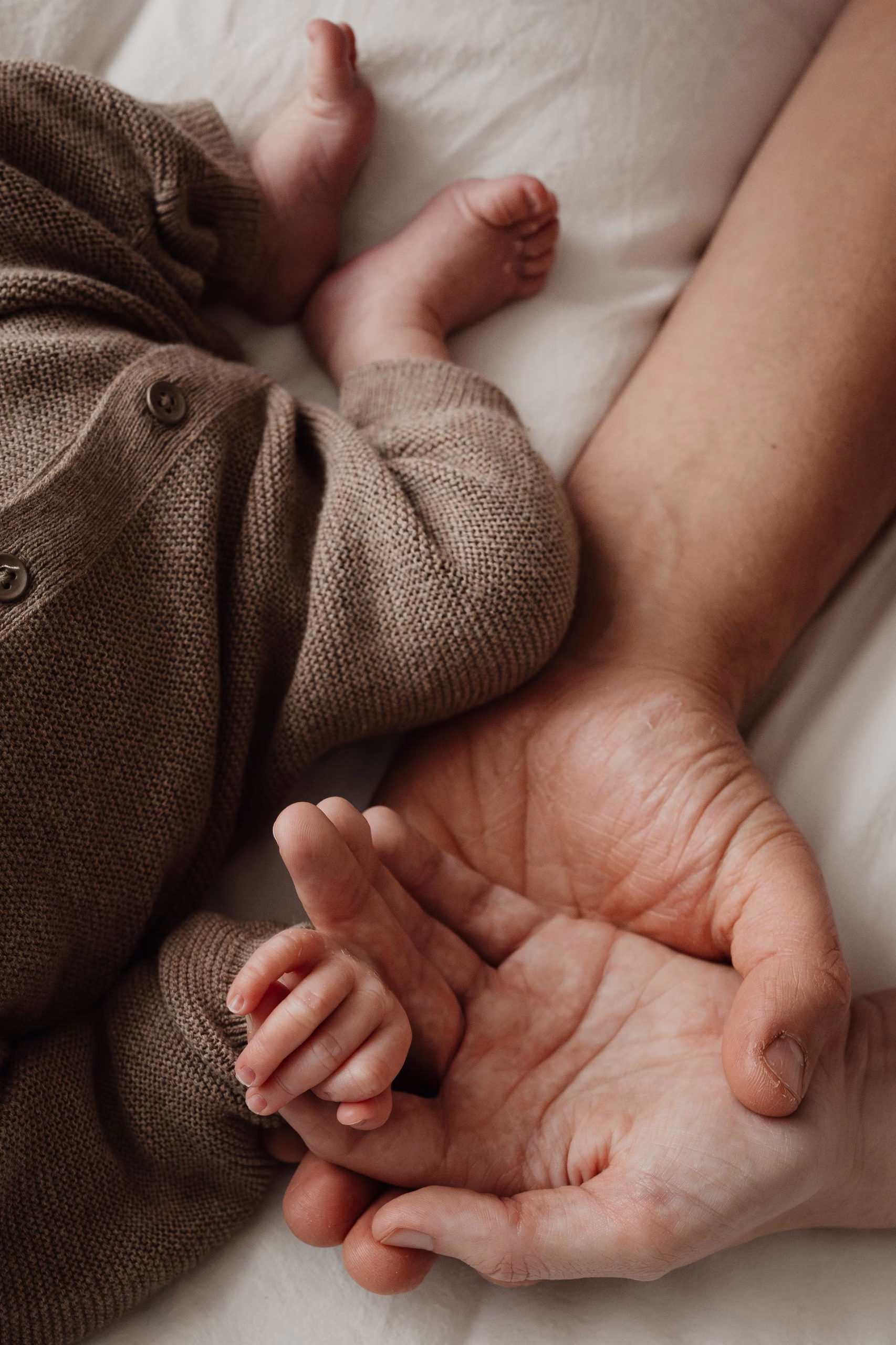 Babyhandje in de hand van een ouder